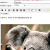 Html Image