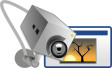Video surveillance